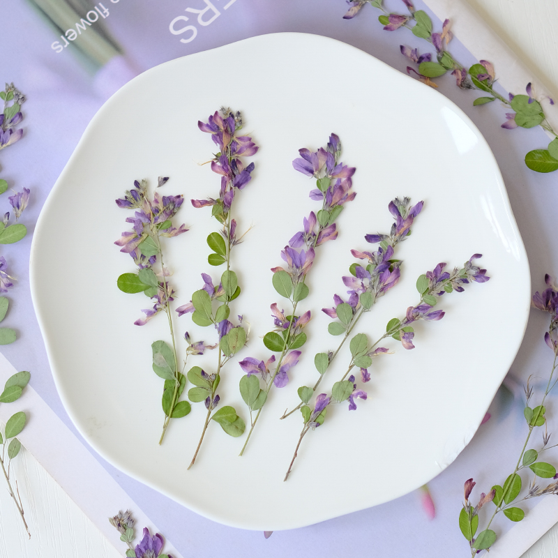 6pcs,nature Lespedeza Formosa  - Resin Art Baby ulasan dan harga