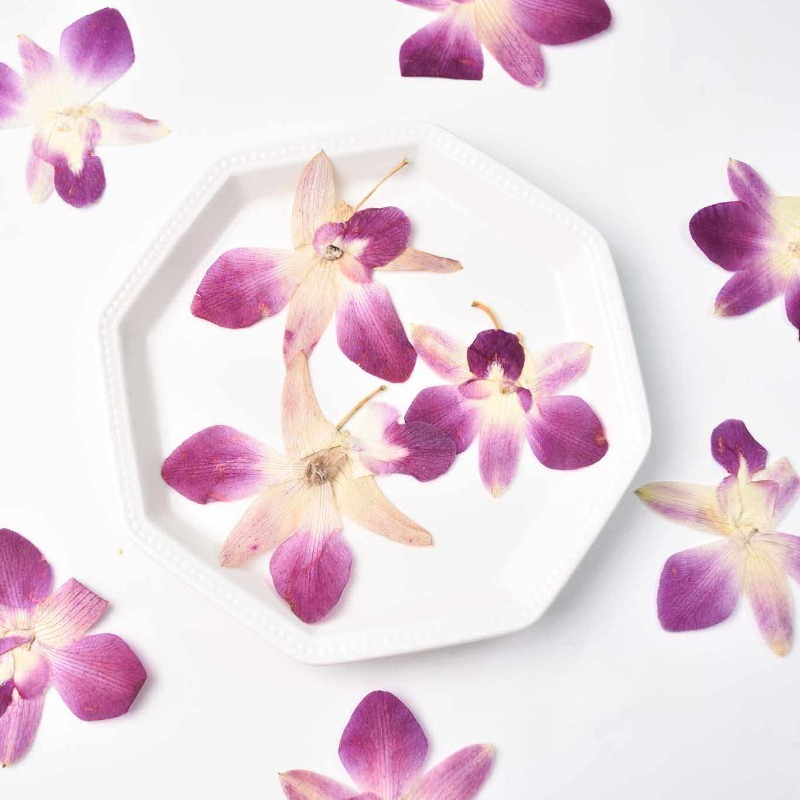 4pcs,Real Pressed Butterfly Or - Resin Art Baby ulasan dan harga