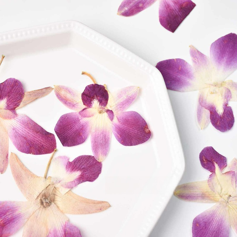 4pcs,Real Pressed Butterfly Or - Resin Art Baby ulasan dan harga