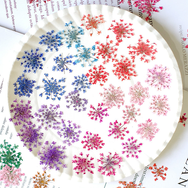 24pcs, 2-2.5cm, Nature Dyed Mi - Resin Art Baby ulasan dan harga