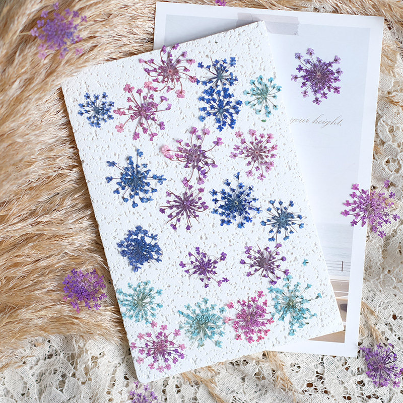 24pcs, 2-2.5cm, Nature Dyed Mi - Resin Art Baby ulasan dan harga